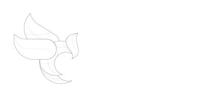 Diwa Management Consultants logo brand Diwa Management Consultants logo brand